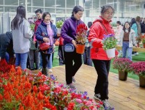 双向奔赴，千名北京市民获赠长安街沿线国庆花坛花卉