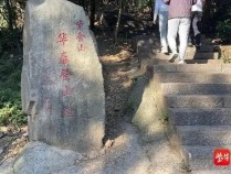 陪爬”紫金山，在南京大学生中火了：情绪价值成新宠