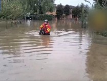 河流决堤 农田被淹 垃圾漫湖 欧洲多地遭洪水袭击