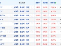 
          
            公募基金公司最新规模排名出炉；汇丰银行证券投资基金托管资格获核准
        