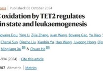 沃尔夫奖得主何川再发重磅研究：破译一个致癌关键突变 揭示TET2新机制