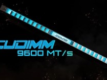 七彩虹CUDIMM DDR5内存达成10GHz！还是风冷、双通