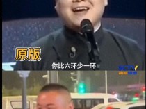 郑州翻版小岳岳找到了 街头艺人意外走红