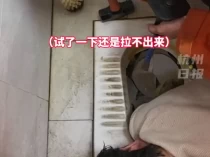 手机掉进厕所，男子伸手去捞，结果悲剧了...