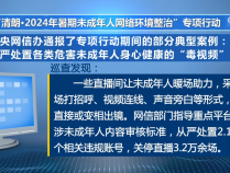 数据里看未成年人网络环境整治成效 “毒视频”“开盒挂人”等乱象曝光