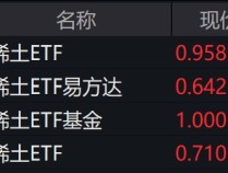 
          
            稀土概念股走强，稀土相关ETF涨逾2%
        