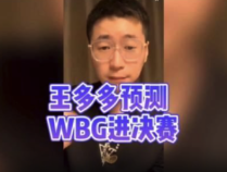 王多多预测WBG进决赛