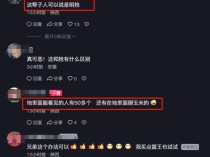 农户驾车喷射烟花驱赶拾玉米人群 无奈之举引发争议