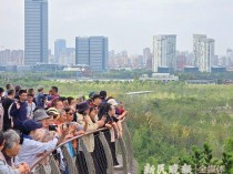 双子山配了登山杖！让市民游客一年四季都有绿草地观赏，上海世博文化公园既是“细节控”又做“行动派”