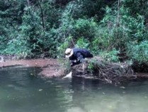 8人擅闯景区未开发区域被终身禁入 哀牢山探险热背后的警示