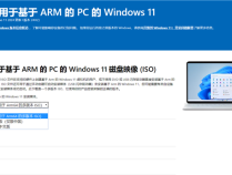 Windows 11 ARM版官方ISO镜像终于发布！高通、苹果都能用