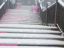 冷空气强制结束“最长夏天”，成都西岭雪山迎来初雪