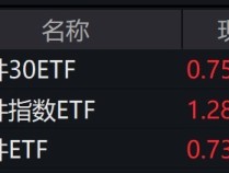 
          
            软件股早盘大涨，相关ETF涨逾4%
        