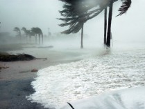 不怕寒露雨，就怕寒露晴”啥意思？：农谚背后的气象智慧