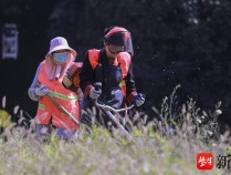 致敬“城市美容师”，你知道“环卫工人节”吗？