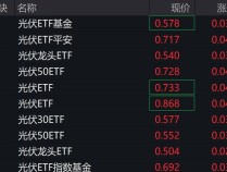 
          
            光伏股午后拉升，相关ETF涨约6%
        