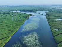 母亲河复苏取得阶段性成效 生态治水之路“走出”幸福新图景