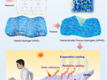 中科院发明可穿戴水凝胶：最薄仅2毫米 降温近30度