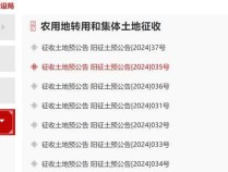 征地15000亩、总成本300亿元！“高铁红利”对武汉楼市影响几何 推动区域焕新与发展潜力