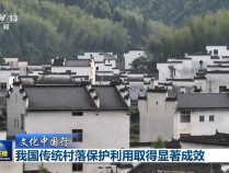 文化中国行丨设计下乡、挂牌保护 让传统村落“住得好”“留得住”