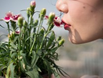 离异女子花重金报“名媛班”，“高质量男性”没约到，钱被卷走了