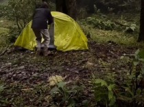 评论员谈女博主擅闯哀牢山 违规露营引风波