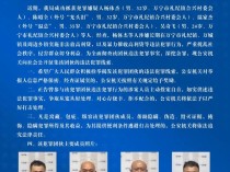 关于公开征集杨体杰等人犯罪团伙违法犯罪线索的通告