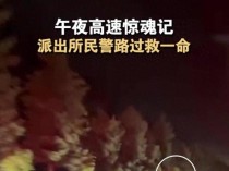 刚下证女司机高速逆行被吊销驾照 新手迷路险酿大祸