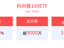 
          
            20CM速递：科创板100ETF(588120)大涨超3.0%，近8个交易日净流入3.92亿元
        