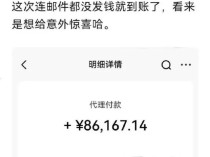 有员工卡里突然多了十余万 比亚迪：发放利润奖 ——业绩飙升的慷慨回馈