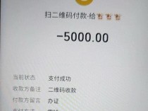 中介称今年卖出20多孩子？官方调查 惊人黑幕曝光