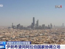 敏感时刻访问沙特等国，伊朗在筹备什么？