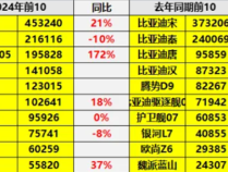 中国插混全球一骑绝尘 2024销量TOP10车型出炉：比亚迪霸榜前9