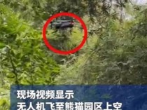 无人机擅闯大熊猫基地吓坏“花花”，保安将其截获，当地警方已介入处理