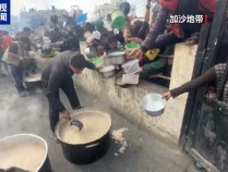 加沙地带食品价格上涨312% 世卫组织呼吁扩大援助