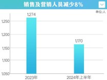 零跑汽车销售大裁员！现金减少-负债率攀升至60.3%