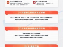 揭秘华为云11.11：为何不做低价王  只做价值守护者