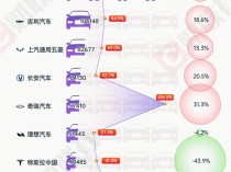 10月新能源车销量TOP10：特斯拉中国环比骤降超4成