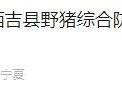 野猪致害26省，多地招募“野猪猎人”！有人称花费20万元只打到5头