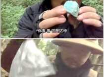 哀牢山“探险”引发三大法律疑问 私自取矿是否违规？