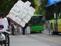 非洲首次发现吃塑料的昆虫 为什么生物能够吃塑料