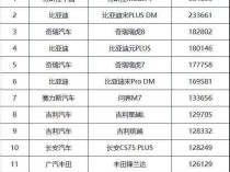 1-8月SUV销量排行榜出炉：特斯拉Model Y排第一，比亚迪三车上榜