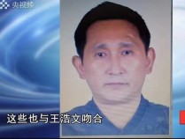 王浩文拐卖14名儿童案二审将开庭，一审被判处死刑