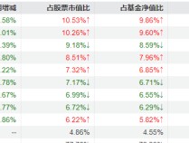 
          
            刘格菘管理的6只基金公布三季报，阳光电源、亿纬锂能等在多只基金中被大幅减持，个别基金降低股票资产占比
        