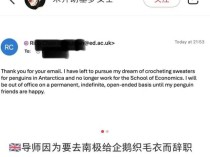 导师辞职原因去南极给企鹅织毛衣 网友：这是今天看到最可爱的事情