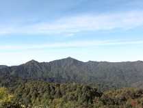 万字长文！人民日报记者两赴哀牢山核心区，带你深度了解