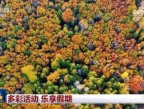 缤纷文旅活动“点亮”国庆假期 乐享美好假日氛围浓