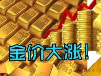 金价又双叒叕飙升 创历史新高