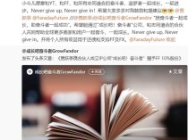 贾跃亭成立IP公司 收益用于还债 个人持股赠FF助清偿债务