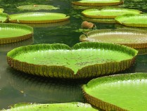 九月土拍复苏迹象显著信心修复从土地市场开始